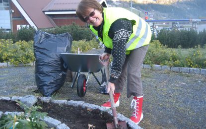 Dugnad i Bagn Vel tirsdag